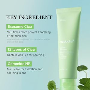 Mascarilla de barro nocturna con camelia, té verde y aloe vera - <span class=keywords><strong>Tratamiento</strong></span> antiacné y antialérgico para todo tipo de <span class=keywords><strong>piel</strong></span> - Product Image 5