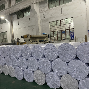 Courroie transporteuse en PP blanc pour <span class=keywords><strong>fumier</strong></span> de volaille, prix usine Centry, vente chaude, garantie 5 ans, 100 kg, directement de l'usine - Product Image 6