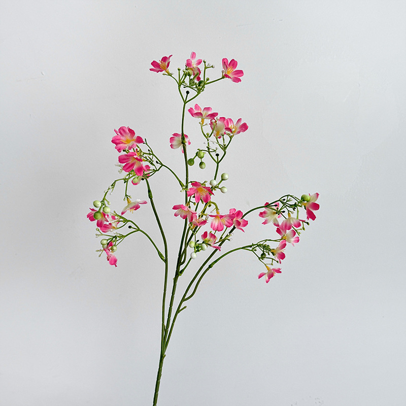 Rose Madder