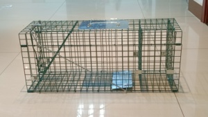 Trampa de Metal Reutilizable de Alta Calidad para Ratones y Ratas Grandes, Jaula de Alambre Galvanizado, Trampa Humana Sin Matar para Animales - Product Image 4