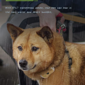 Collares Inteligentes Personalizados para Mascotas, Dispositivos de Monitoreo de Salud para Mascotas en el Hogar - Product Image 3