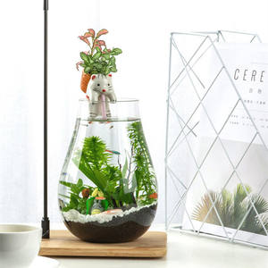 Décoration de maison de table Vase <span class=keywords><strong>en</strong></span> <span class=keywords><strong>verre</strong></span> décoratif <span class=keywords><strong>en</strong></span> forme de larme Terrarium pour plantes - Product Image 2