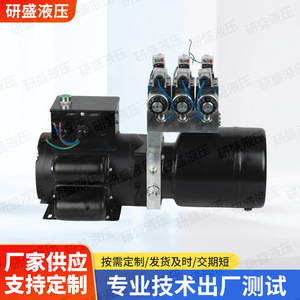 Groupe hydraulique Yansheng à double fonction, pompe à moteur AC pour camions, chariots élévateurs et monte-chargeurs - Product Image 4