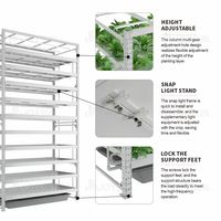 Système hydroponique domestique personnalisable en usine, étagère de culture verticale multicouche, système de culture vertical mobile