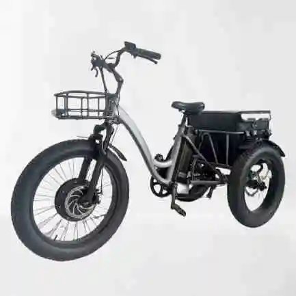 20*4.0 지방 타이어 전기 trike 3 바퀴 전기 자전거화물 자전거 전기 ebike-cargo 가족 e 자전거