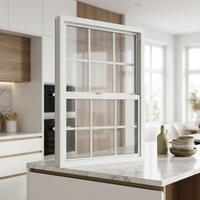 Fenêtre à double battant coulissante verticale en alliage UPVC de style américain, à ouverture vers le haut et vers le bas, à économie d'énergie pour la maison