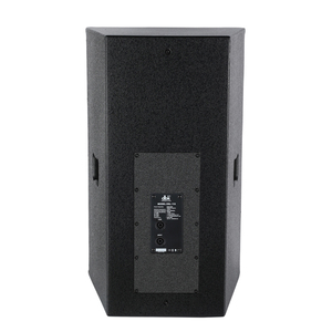 DBK Haut-parleur à source ponctuelle de 15 pouces, actif, personnalisé, professionnel, pour scène, équipement audio, haut-parleur large bande pour karaoké, fêtes et églises - Product Image 3