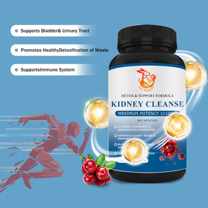 Cápsulas para la Limpieza Renal Más Vendidas con Polvo de Hoja de Ortiga y Hoja de Té de Java para Apoyar la Función de la Vejiga y la Salud Renal - Product Image 4