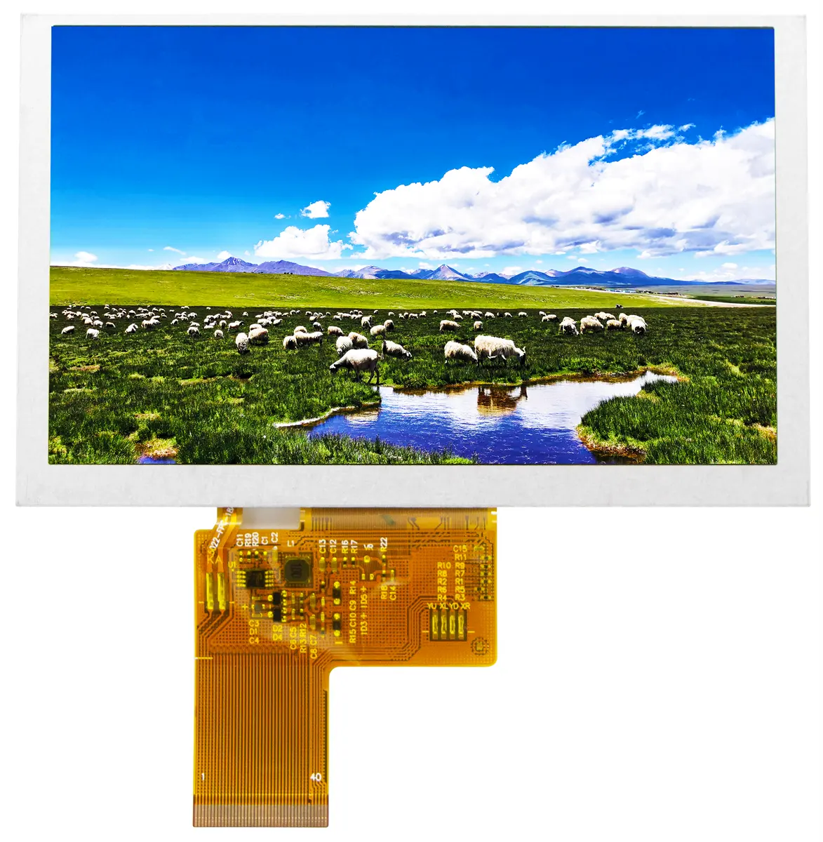 شاوكسين LCD مصنعين 5 بوصة TFT LCD وحدة 800x480 عالية الدقة جميع زوايا المشاهدة TFT LCD