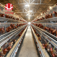 Système de cages à poules pondeuses de type A à 4 niveaux avec abreuvement automatique, bande de collecte de fumier, collecte d'œufs, abreuvoir à tétine en acier galvanisé