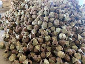 الببغاء الكوكتيل بحبل من القش ، عش الطيور المنسوج ، خارج عش الطيور ، الأعشاب البحرية المنسوجة من الخارج - Product Image 6