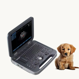 Fitin Fluxo sanguíneo cardíaco e renal médico Máquina portátil do ultrassom da cor doppler do ultrassom do varredor do ultrasonido do portátil - Product Image 6