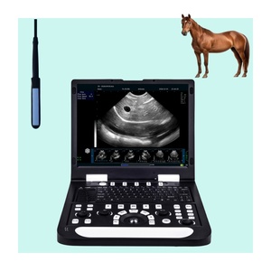 Pemindai Ultrasound medis hitam dan putih portabel untuk instrumen kedokteran hewan manusia dan kuda dalam Diagnosis - Product Image 1
