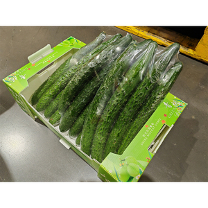 Yuexin kích thước tùy chỉnh chuối khoai tây cam sóng vận chuyển hộp ply3 5 tông giấy carton không thấm nước PP SPC xử lý thư mục - Product Image 6