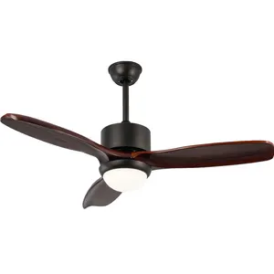 Breezelux High Quality Remote Control Ceilling Install 48 Inch Switch Modern LED Ceiling Fan