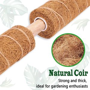 <span class=keywords><strong>Support</strong></span> de <span class=keywords><strong>Plantes</strong></span> Empilable en PVC+<span class=keywords><strong>Bois</strong></span> Anti-Pourriture 12-16 Pouces Écologique Résistant au Vent <span class=keywords><strong>pour</strong></span> Monstera et Bâtons d'Escalade de Jardin Intérieur - Product Image 6