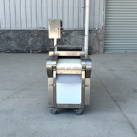 Industriële voedselverwerkingsmachine voor het automatisch snijden van fruit en groenten met motor voor centrale keukens en catering.