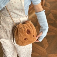 2025 nouveau dessin animé mignon cordon Capybara sac Instagram sac en peluche et fille sac de rangement à bandoulière