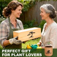 Kit de bonsaï de luxe écologique en 5 pièces, facile à cultiver pour les débutants, kit de jardin d'intérieur en bonsaï vivant, boîte en bois, outils, plante