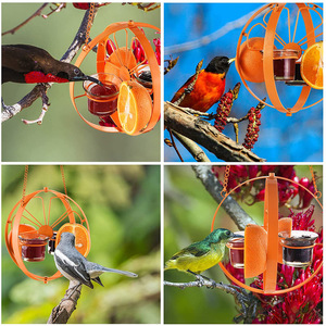 Extérieur Jardin Porche Arbres Porte-Fruits Suspendus Oranges Conteneur Métal Oriole Mangeoires À Oiseaux - Product Image 6