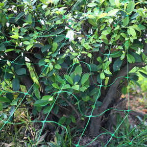 Trắng Ép Đùn Nho Hỗ Trợ <span class=keywords><strong>Net</strong></span> Nhà Máy Rau Trái Cây Leo Núi Trellis Lưới - Product Image 3