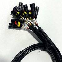 Kabel Harness Otomotif Tahan Air Khusus, Kabel Konektor AMP/Tyco 2 Pin Male-Female, Selubung Kepang untuk Refrigerasi