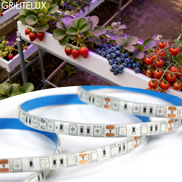 Dual Spectrum Sunlike Plant Lights Growing Lamps for Hydroponics Succulent Veg Flowers LED Grow Light Strip for Indoor Plants