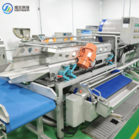 Volledig automatische industriële aardappelwas- en schilmachine voor 5 ton per uur, knoflookmachine en borstelapparatuur voor het reinigen van wortelgewassen