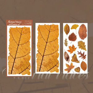 Pegatinas de Transferencia de la Serie Natural Trace - 2 Piezas de PVC Autoadhesivas para Decoración Navideña y Pegatinas para Cuadernos DIY - Product Image 6