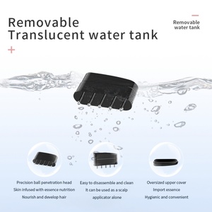 Peigne de massage vibrant électrique EMS pour la croissance des cheveux, soin anti-chute, brosse de traitement du cuir chevelu EMS pour usage domestique - Product Image 4