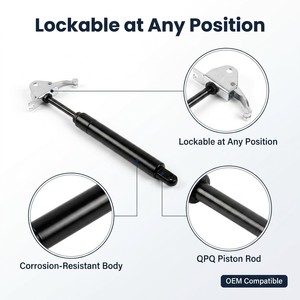 Resorte de Gas Bloqueable 200N-500N para Reposabrazos de Silla Dental Médica, Elevación, OEM, Personalizado de Fábrica - Product Image 1