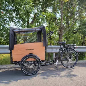 Transport Bike Family Use 3 Wheel Electric Cargo Bike Front Loading Cargo Box