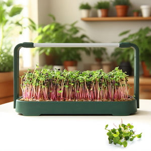 अधिक लागत प्रभावी बगीचे स्टार्टर किट स्मार्ट लेट्यूस हाइड्रोपोनिक्स जड़ी बूटी इनडोर किट सिस्टम - Product Image 5
