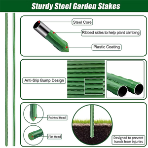 Robusto 8 11 16 20mm Estacas para plantas Envuelto PE Estacas para invernadero Anti óxido Tomate Pepino Soporte de jardinería para trepar plantas - Product Image 3