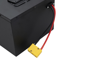 Yüksek performanslı özel pil paketleri pil kapasitesi göstergesi elektrik triportör bataryası - Product Image 5