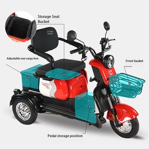 Tricycle électrique haut de gamme à suspension hydraulique, moteur sans balais, fourche avant en alliage d'aluminium, <span class=keywords><strong>3</strong></span> <span class=keywords><strong>roues</strong></span>, batterie au plomb-acide - Product Image 4