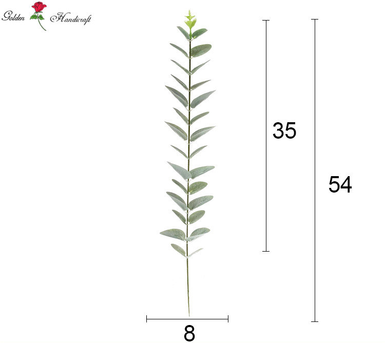 ยูคาลิปตัส2