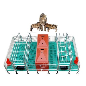 Cama de Parto <span class=keywords><strong>Aow</strong></span>, Equipo para Granjas Porcinas, Jaula de Crecimiento para Lechones, Equipo para Cría de Cerdos - Product Image 3