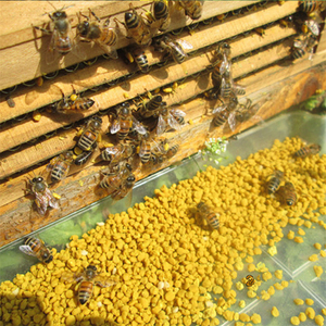 Gránulos de Polen de Abeja Puro de Primera Calidad Natural para Consumo Humano - Product Image 2