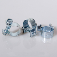 Colliers de serrage pour tuyau de carburant en acier galvanisé robuste de 6 mm à 28 mm, style mini métrique, pour les lignes d'eau de lavage de voiture