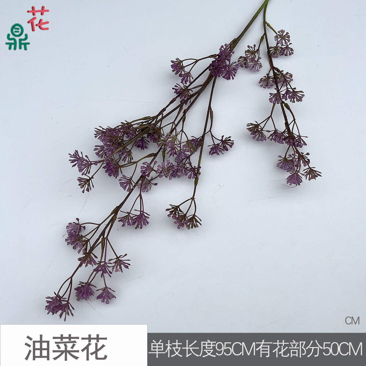 Fleur de colza CM Violet