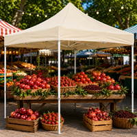 Tente publicitaire personnalisée imprimée 3x6m en PVC imperméable, chapiteau événementiel pliable pour la promotion