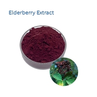 Ekstrak Bubuk Buah Elderberry Sambucus Nigra Rasio 10:1 TLC untuk Minuman Kesehatan Fungsional