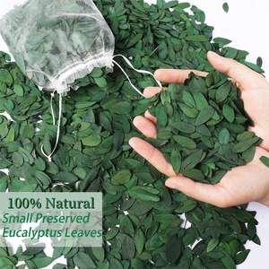 1 kg de Hojas de <span class=keywords><strong>Eucalipto</strong></span> <span class=keywords><strong>Azul</strong></span> Bebé/<span class=keywords><strong>Eucalipto</strong></span> de Hoja Estrecha, Hojas Puras Naturales 100% para Confeti de Boda y Otras Ocasiones - Product Image 2