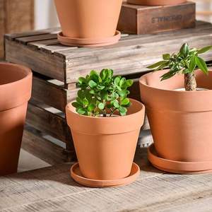 <span class=keywords><strong>Pot</strong></span> de fleur rouge en céramique extra large avec plateau respirant Prix de dédouanement Livraison gratuite pour les jardinières succulentes - Product Image 2