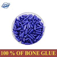 Capsules végétales HPMC Premium avec échantillons gratuits, à base de plantes, sans TiO2, capsules 00 0 1 2