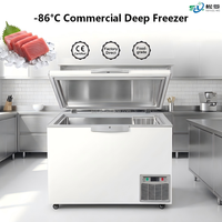Congélateur coffre commercial ultra basse température 218L -50°C ℃   Congélateurs en acier inoxydable, vente en gros d'usine