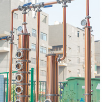 Équipement de brassage de whisky tout-en-un, unité de distillation de vodka, rhum, brandy, baijiu, brasserie entièrement automatique, fermentateur artisanal