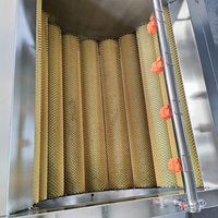 Automatische aardappelwas- en schilmachine met borstelrolreiniger voor zoete aardappel, cassave, wortel, gember en groenteverwerkingsapparatuur