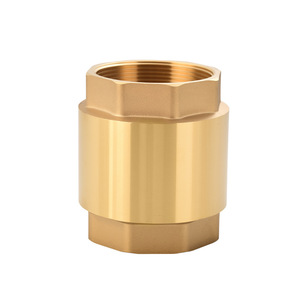 วาล์วกันกลับแบบสปริงเกลียวในสองด้าน ทองเหลือง แนวตั้ง - Product Image 5